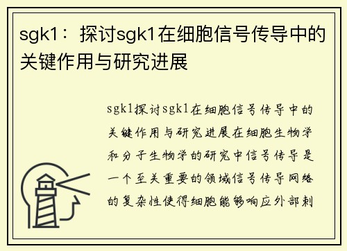 sgk1：探讨sgk1在细胞信号传导中的关键作用与研究进展